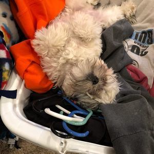 Meet your Posher, Vicki